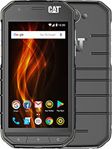 cat s31