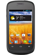 zte director